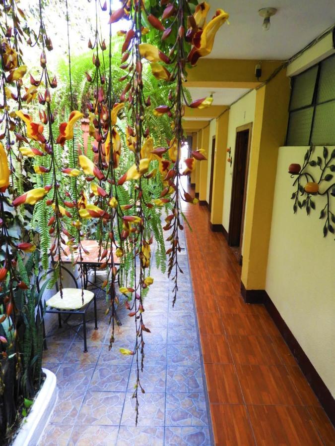 Hostal أنتيغوا غواتيمالا المظهر الخارجي الصورة